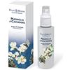 Frais monde acqua profumata magnolia e cachemire 125 ml