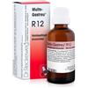 DR.RECKEWEG & CO. GmbH Reckeweg r12 gocce 22ml - DR.RECKEWEG - 909462261