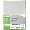 SEI ROTA SEPARATORE NUMERICO 1-31 PPL 21X29,7 RECORD RA4 1-31 SEI 581301