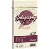 FAVINI 25 BUSTE CALLIGRAPHY MILLERIGHE 110X220MM 100GR 02 AVORIO A57Q424