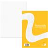 BM FOGLI PROTOCOLLO A4 60gr 20fg 5mm BM 0100259