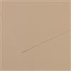 CANSON Foglio MI-TEINTES A4 cm 160 gr. 343 grigio trianon C31032S014