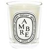 Diptyque Paris Ambre Candela profumata 190ml
