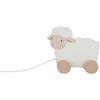 Pecora trainabile Little Dutch