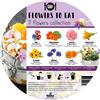 Vita Sana Kit 7 vasi fiori edibili