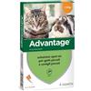 ELANCO ITALIA SpA ADVANTAGE ANTIPARASSITARIO PER GATTI E CONIGLI PICCOLI 4 PIPETTE