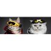 Croci Occhiali da Sole per Animali Domestici Horizon Black S
