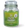 Magic Lights Candela alla Citronella 510g - Giara Grande da Esterno per Giardino e Terrazzo - Stoppino in Legno Scoppiettante - Cera Vegetale 75% - Made in Italy