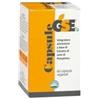 Gse Capsule 60 Capsule