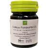 Oti Coleus Forskohlii Estratto Secco Medicinale Omeopatico 30 Capsule