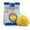 FITOBUCANEVE SRL BABY NEUTRA SPUGNA NATURALE DI MARE 12/48 MESI