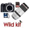 Canon EOS R7 + RF 100-500mm f4.5-7.1L IS + SD 64gb + Filter (WILD KIT)