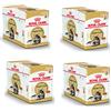 Royal Canin Maine Coon Adult | Confezione da 4 | 4 x 12 x 85 g | Cibo umido per gatti | Specificamente adattato alle esigenze dei gatti Maine Coon | Contenuto energetico adeguato
