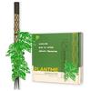 PlantMe Set di bastoncini per muschio Midi, per piante rampicanti, per piante rampicanti, edera, asta muschiata, supporto per piante, piante da appartamento, filodendro (verde-grigio, 70 cm)