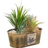 AlexandreHouse Maceta planta artificial