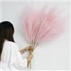 YIYA 6 pezzi Pampas Decorative Alte 113cm Rosa Pampa Artificiali Fiori Secchi Erba di Pampa XXL Piume Decorative grigio per Soggiorno, Casa, Pavimento, Vaso, Decorazione Boemia