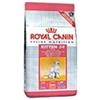Royal Canin Italia Feline Health Nutrition Kitten 36 2 Kg