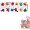 Clyhon Fiori Secchi per Unghie - 1 Scatole Fiori Secchi per Artigianato in Resina, 3d Nail Art Set di Decorazioni Accessori