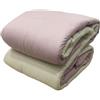 Renato Balestra Trapunta Invernale Matrimoniale in Microfibra Double Face 270x270 cm, Made in Italy, Cipria