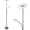 Briloner - Lampada da terra con testa flessibile e braccio di lettura, dimmerabile all'infinito, CCT da bianco caldo a bianco freddo, lampada da terra, 179 cm, antracite