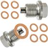 EPLZON 2 Pezzi M14 x 1,5 Viti di scarico dell'olio magnetiche, Dado Di Scarico Della Coppa Magnetica, con 10 Guarnizione, per Auto, Barche e Motociclette