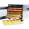 Vita5 Essiccatore Alimentare con 6 Vassoi in Acciaio Inox - Essicatore Frutta e Verdura 24 Ore Timer - Disidratatore Alimenti Temperatura Regolabile 35-75°C - 650W Essiccatore da Casa in Inox