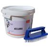AQUA SPHERE Dicloro Granulare 56% Aqua Sphere Secchio 5 kg - Cloro in Granuli per Trattamenti Shock + Spazzola con Maniglia
