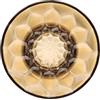 Kartell Jellies Coat Hangers Appendiabiti, Tecnopolimero Termoplastico, Ambra, Medium