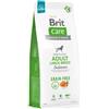 Brit Care Cane Adult LARGE Salmone Grain Free 12 Kg