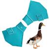 Samuliy Scarpe per uccelli acquatici | Stivaletti protettivi impermeabili | Scarpe protettive per uccelli acquatici per oche e anatre grandi, uccelli, polli, accessori per animali domestici