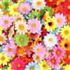 YiliYa 200 Pezzi Fiori Artificiali Capolini Margherita,Fiori Artificiali Capolini Margherita Fiori Finti per Decorazioni per Artigianato Fai-da-te Copricapo Matrimoni Feste(4 cm di Diametro)