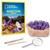 Giochi Preziosi National Geographic - Kit Geologico con Pietra da Scavo e Strumenti per Gemme Preziose, Puoi Trovare Ametista, Quarzo e Occhio di Tigre. Guida e Lente di Ingrandimento Inclusi