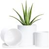 D'vine Dev Set di 3 piccoli vasi cilindrici minimalisti in plastica con foro di drenaggio e piattini senza cuciture, 10,2 cm, 12,7 cm, 15,2 cm, colore bianco