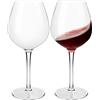 HAHASHOW Tritan-Plastica Bicchiere da Vino Bianco, Set di 2 Divino Calice vino rosso per campeggio festa, Adatto alla Lavastoviglie, 500ml