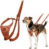 Company of Animals Pettorina anti-trazione HALTI - Per impedire al cane di tirare il guinzaglio, regolabile, leggera e semplice da utilizzare. Pettorina da addestramento per cani piccoli (Taglia S, Arancia Bruciata)