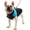 Homieco Cappotto Impermeabile per Cani, Giubbotto Imbottito Calda Impermeabile per Cane, Pet Vestiti Cani Inverno - Blu