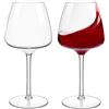 HAHASHOW Tritan-Plastica Bicchiere da Vino Bianco, Set di 2 Divino Calice vino rosso per campeggio festa, Adatto alla Lavastoviglie, 610ml