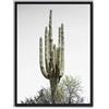 AlexandreHouse Cuadro cactus saguaro i_FASE5