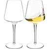 HAHASHOW Tritan-Plastica Bicchiere da Vino Bianco, Set di 2 Divino Calice vino rosso per campeggio festa, Adatto alla Lavastoviglie, 445ml