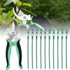 Cutiolly Forbici Potatura,Forbici Giardinaggio,Forbici Antiscivolo con Impugnatura,Cesoie Riparazione Fiori Giardino,Cesoie Potatura Giardino,Forbici Potatura Acciaio Inossidabile,Cesoie Potatura Manuale