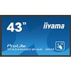 IIYAMA Monitor Public 43 TF4339MSC-B1AG 12MS,VGA, DVI, HDMI