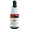 BUSH BIOTHERAPIES PTY LTD Bush Flower Essences Fiori Australiani Bottlebrush Gocce 15 Ml