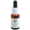 BUSH BIOTHERAPIES PTY LTD Green Remedies Fiori Australiani Jacaranda 15 Ml Gocce Omeopatia