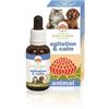 BUSH BIOTHERAPIES PTY LTD Bush Flower Essences Fiori Australiani Agitation & Calm Per Uso Veterinario Gocce 30 Ml