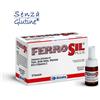 BIOTRADING SRL UNIPERSONALE Biotrading Unipersonale Ferrosil Plus Flaconcini