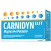 CARNIDYN FAST 20 BUSTINE