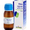 BOIRON Srl BO.RIBES NIGRUM 1DH MG 60ml