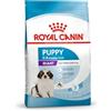 ROYAL CANIN Giant Puppy | 3,5 kg | Alimento secco per cani | Per cuccioli di taglia gigante con un peso adulto superiore a 45 kg - fino a 8 mesi