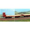 Acme 45117 Acme Set 2 carri Poz Tipo 1920 con garitta uno con sostegni per gruette FS