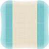 COLOPLAST SpA COMFEEL PLUS 10x10 10pz 33110
